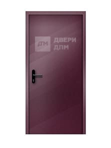 Глухая ДПМ-01 EIS противопожарная дверь однопольная со скрытыми петлями